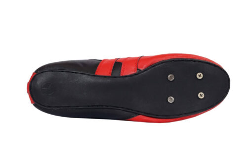 Maximus - Image 7